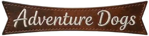 Adventure Dogs
