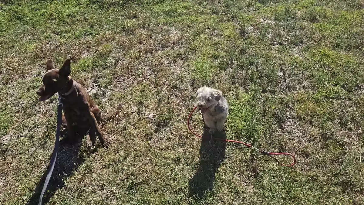 Passeios